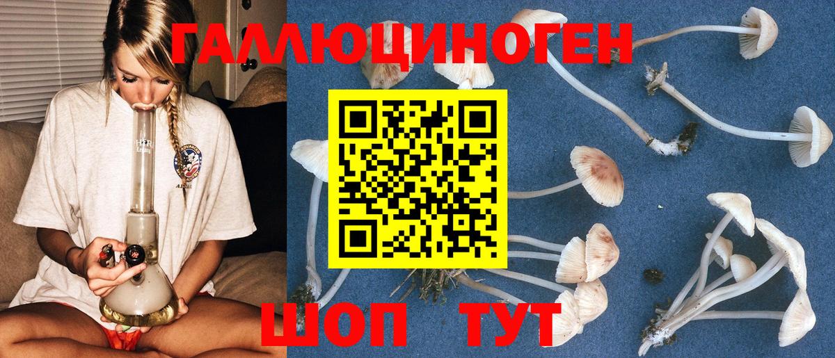 Галлюциногенные грибы Magic Shrooms Волжск